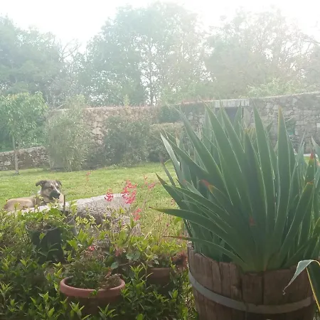 Casa Bolero